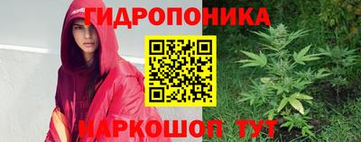 шишки Волжск