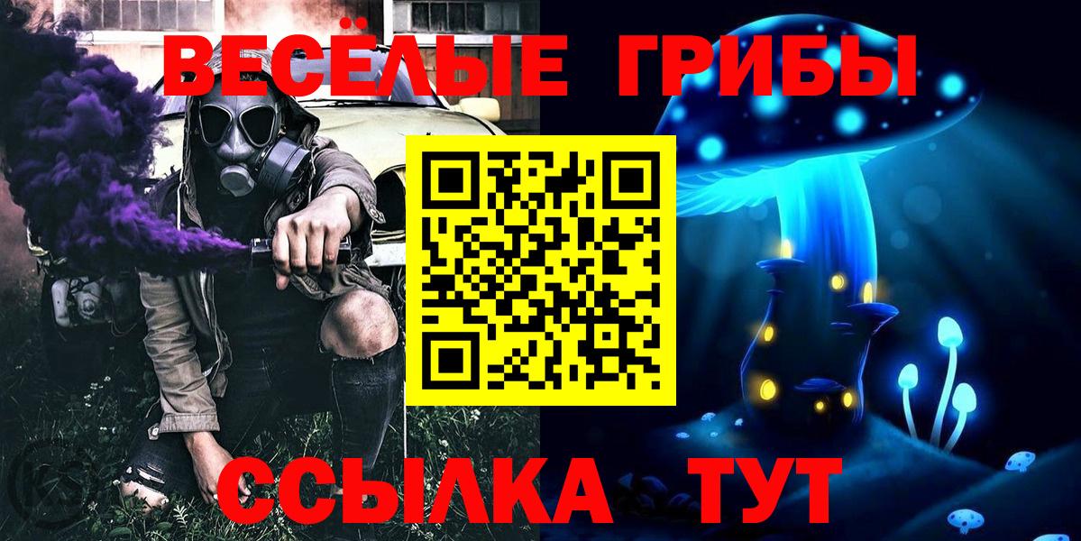 Псилоцибиновые грибы GOLDEN TEACHER Донской